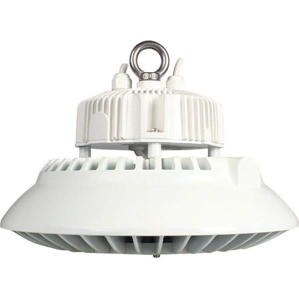 Eiko Global - 1 Lamp, 200 Watts, LED, High Bay Fixture - 250mm High x 11.81" Wide, 120-277 Volt, Steel Housing - All Tool & Supply