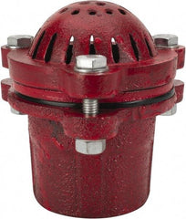 Value Collection - 2" Hose, Foot Valve - Cast Iron - All Tool & Supply