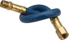 Coilhose Pneumatics - 1/4" ID 1' Long Lead-In Whip Hose - FNPT x MNPT Swivel Ends, 200 Working psi, -40 to 212°F, 1/4" Fitting, - All Tool & Supply