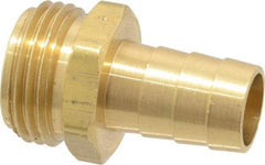 Dixon Valve & Coupling - 3/4 NH Garden Hose Fitting - Brass, Short Shank Male Connector - All Tool & Supply