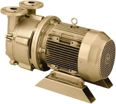 DEKKER Vacuum Technologies - 29 Hg Max, 2-1/2" ANSI 150# RF Flanged Inlet & Discharge, Single Stage Liquid Ring Vaccum Pump - 150 CFM, 10 hp, Cast Iron Housing, 316 Stainless Steel Impeller, 1,750 RPM, 230/460 Volts - All Tool & Supply