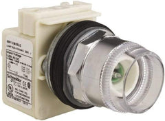 Schneider Electric - 1.18 Inch Mount Hole, Extended Straight, Pushbutton Switch Only - Round, Green Pushbutton, Illuminated, Momentary (MO), Weatherproof, Dust and Oil Resistant - All Tool & Supply