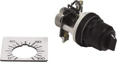 Square D - 2,000 Ohm, 30mm, 300 VAC Potentiometer - 2 Watts, Nonilluminated, Knob Operated, NEMA 4, 13 - All Tool & Supply