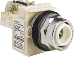 Schneider Electric - 120 VAC LED Indicating Light - Screw Clamp Connector - All Tool & Supply