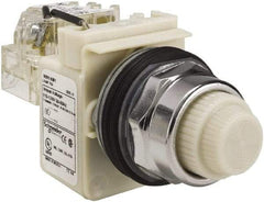 Schneider Electric - 120 VAC White Lens Indicating Light - Screw Clamp Connector - All Tool & Supply