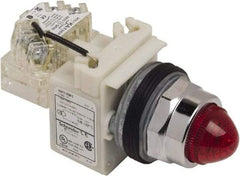 Schneider Electric - 120 VAC Red Lens Indicating Light - Screw Clamp Connector - All Tool & Supply