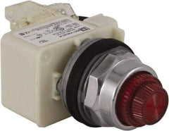 Schneider Electric - 24 V Red Lens LED Press-to-Test Indicating Light - Octagonal Lens, Screw Clamp Connector - All Tool & Supply