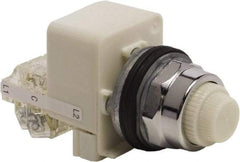 Schneider Electric - 120 VAC White Lens LED Indicating Light - Screw Clamp Connector - All Tool & Supply