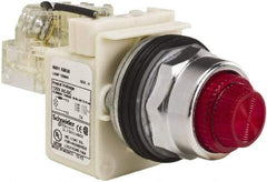 Schneider Electric - 120 VAC Red Lens Indicating Light - Screw Clamp Connector - All Tool & Supply