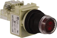 Schneider Electric - 30mm Mount Hole, Extended Straight, Pushbutton Switch with Contact Block - Red Pushbutton, Momentary (MO) - All Tool & Supply