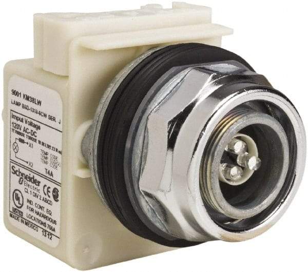 Schneider Electric - 120 V LED Pilot Light - Round Lens, Screw Clamp Connector - All Tool & Supply