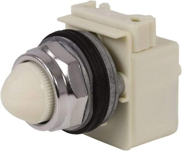 Schneider Electric - 120 VAC White Lens Indicating Light - Screw Clamp Connector - All Tool & Supply