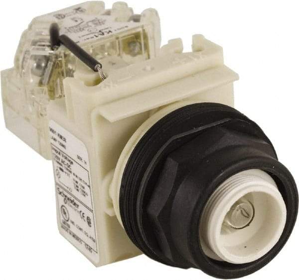 Schneider Electric - 120 V Press-to-Test Indicating Light - Round Lens, Screw Clamp Connector, Corrosion Resistant, Dust Resistant, Oil Resistant - All Tool & Supply