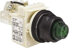 Schneider Electric - 24 V, 28 V Green Lens Press-to-Test Indicating Light - Round Lens, Screw Clamp Connector, Corrosion Resistant, Dust Resistant, Oil Resistant - All Tool & Supply