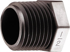 Parker - 1/8" Polypropylene Plastic Pipe Plug - All Tool & Supply