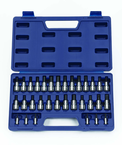 32 Piece - 1/4 & 3/8" Drive - Bit Socket Set - All Tool & Supply