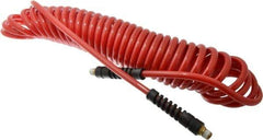 PRO-SOURCE - 5/16" ID, 1/4 Thread, 25' Long, Red Polyurethane Coiled & Self Storing Hose - 120 Max psi, Male Swivel x Male Swivel - All Tool & Supply