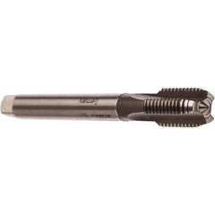 Emuge - 1/8-28" BSPP, 4 Flutes, Modified Bottoming Chamfer, Bright Finish, Cobalt British Standard Pipe Tap - 0.2756" Shank Diam, 0.2165" Square Size, Series Rekord A - Exact Industrial Supply