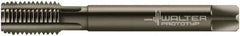 Walter-Prototyp - 1/8-28" BSPP, 4 Flutes, Modified Bottoming Chamfer, Nitride/Oxide Coated, Powdered Metal British Standard Pipe Tap - 0.2756" Shank Diam, 0.2165" Square Size, Series E24364 - Exact Industrial Supply