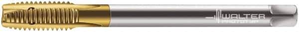 Walter-Prototyp - M16x2.00 Metric, 3 Flute, TiN Finish, Powdered Metal Spiral Point Tap - Plug Chamfer, Right Hand Thread, 110mm OAL, 25mm Thread Length, 12mm Shank Diam, 6H Class of Fit, Series 7026345 - Exact Industrial Supply