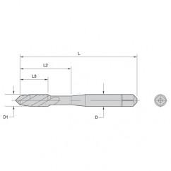 16053 M3-0.5 HS G D3 2F PLUG FAST - All Tool & Supply