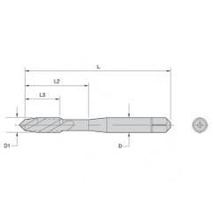 16053 M3-0.5 HS G D3 2F PLUG FAST - All Tool & Supply