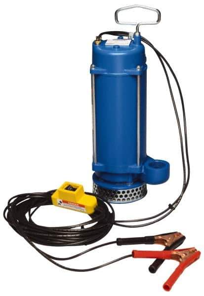 Warren Rupp - 1/3 hp, 12 VDC Amp Rating, 12 VDC Volts, Nonautomatic Operation, Dewatering Pump - Aluminum Housing - All Tool & Supply