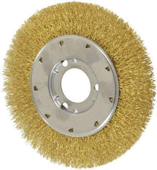 Osborn - 6" OD, 1-1/4" Arbor Hole, Crimped Brass Wheel Brush - 5/8" Face Width, 1-1/8" Trim Length, 0.014" Filament Diam, 6,000 RPM - All Tool & Supply