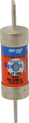 Ferraz Shawmut - 500 VDC, 600 VAC, 100 Amp, Time Delay General Purpose Fuse - Clip Mount, 4-5/8" OAL, 100 at DC, 200 at AC, 300 (Self-Certified) kA Rating, 1-1/16" Diam - All Tool & Supply