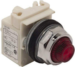 Schneider Electric - 480 VAC Red Lens Indicating Light - Screw Clamp Connector - All Tool & Supply