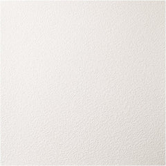 Genesis - Pack of 12 Stucco Pro 23-3/4" x 23-3/4" x 0.197" Vinyl Ceiling Tiles - All Tool & Supply