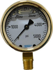 Wika - 2-1/2" Dial, 1/4 Thread, 0-5,000 Scale Range, Pressure Gauge - Lower Connection Mount, Accurate to 1.5% of Scale - All Tool & Supply