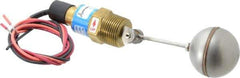 Thomas Products Ltd. - 1" Thread, 900 Max psi, 300°F Max, Liquid Level Side Mounted Float Switches - Brass Stem - All Tool & Supply