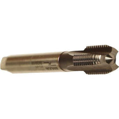 Emuge - 1/2-14" BSPP, 4 Flutes, Modified Bottoming Chamfer, TiCN Coated, Cobalt British Standard Pipe Tap - 0.6299" Shank Diam, 0.4724" Square Size, Series Rekord A - Exact Industrial Supply