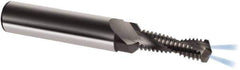 Guhring - M10x1.25 Metric Fine, 0.3465" Cutting Diam, 2 Flute, Solid Carbide Helical Flute Thread Mill - Internal Thread, 26.6mm LOC, 80mm OAL, 12mm Shank Diam - All Tool & Supply