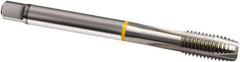 Guhring - 1-1/2 - 6 UNC, 4 Flute, Bright Finish, Cobalt Spiral Point Tap - Plug Chamfer, Right Hand Thread, 200mm OAL, 2B Class of Fit, Series 878 - Exact Industrial Supply