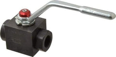 Parker - 3/4" Pipe, Carbon Steel Standard Ball Valve - Inline - Two Way Flow, FNPT x FNPT Ends, Lever Handle, 6,000 WOG - All Tool & Supply