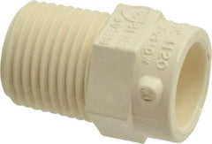 NIBCO - 1/2" CPVC Plastic Pipe Male Adapter - Slip x MIPT End Connections - All Tool & Supply