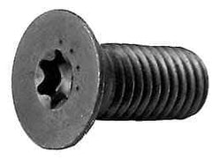 Camcar - 5/16-24 UNF Torx Plus Drive, 82° Flat Screw - Alloy Steel, Black Oxide Finish, Fully Threaded, 1" OAL - All Tool & Supply