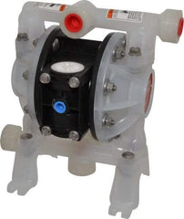 ARO/Ingersoll-Rand - 1/2" NPT, Nonmetallic, Air Operated Diaphragm Pump - Polyurethane Diaphragm, Polypropylene Housing - All Tool & Supply