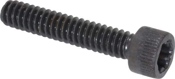 Camcar - #10-24 UNC Torx Plus Drive, Socket Cap Screw - Alloy Steel, Black Oxide Finish, Fully Threaded, 1" Length Under Head - All Tool & Supply