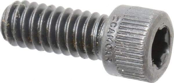 Camcar - 1/4-20 UNC Torx Plus Drive, Socket Cap Screw - Alloy Steel, Black Oxide Finish, Fully Threaded, 5/8" Length Under Head - All Tool & Supply