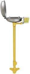 Bradley - Pedestal Mount, Stainless Steel Bowl, Eyewash Station - 1/2" Inlet, 30 psi Flow, 0.4 GPM Flow Rate - All Tool & Supply