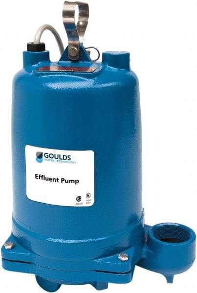 Goulds Pumps - 1 hp, 208 VAC Amp Rating, 208 VAC Volts, Single Speed Continuous Duty Operation, Effluent Pump - 1 Phase, Cast Iron Housing - All Tool & Supply