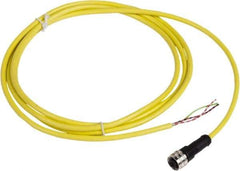 Telemecanique Sensors - 4 Amp, 1/2-20 UNF 3 Pin Female Straight Cordset Sensor and Receptacle - 250 VAC, 300 VDC, 2m Cable Length, IP67 Ingress Rating - All Tool & Supply