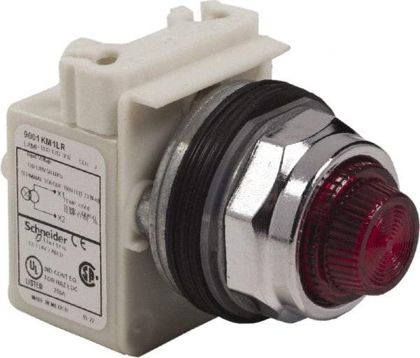 Schneider Electric - 120 VAC Red Lens LED Pilot Light - Round Lens, Screw Clamp Connector - All Tool & Supply