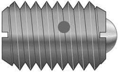 Vlier - M10x1.5, 6mm Ball Diam, 19mm Body Length, 2.01mm Max Ball Reach, Threaded Ball Plunger - Stainless Steel Body, Nylon Ball, 4.5 Lb Initial End Force, 7.87 Lb Final End Force - All Tool & Supply