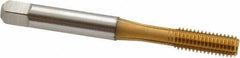 Accupro - M6x1.00 Metric Coarse D8 Thread Limit Bottoming Thread Forming Tap - Powdered Metal High Speed Steel, TiN Finish, 2-1/2" OAL - All Tool & Supply