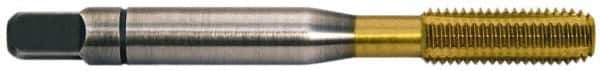 Balax - #10-24 UNC 2B H5 Thread Limit Bottoming Thread Forming Tap - Powdered Metal High Speed Steel, TiN Finish, 2-3/8" OAL, 0.6" Thread Length, Right Hand Thread, Series BXSTAINLESS - All Tool & Supply