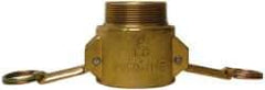 EVER-TITE Coupling Products - 2-1/2" Brass Cam & Groove Suction & Discharge Hose Female Coupler Male NPT Thread - Part B, 2-1/2" Thread, 250 Max psi - All Tool & Supply